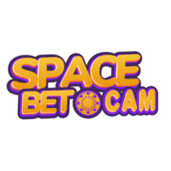 complete the present tense tener sudoku puzzle
